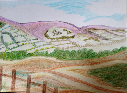 Christine P, Edale, purple heather, coloured pencils.jpg